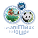 Les animaux à la loupe 