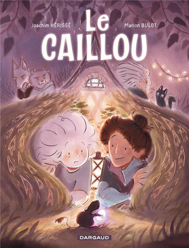 couverture du livre Le Caillou