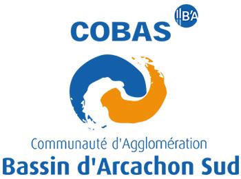 Logo Cobas