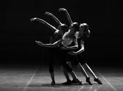 Formation Faites place aux artistes